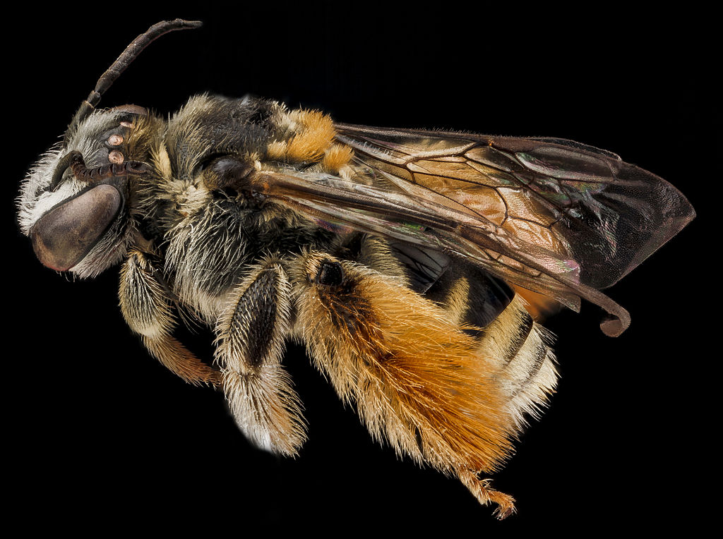 2 Million Blossoms tweet media