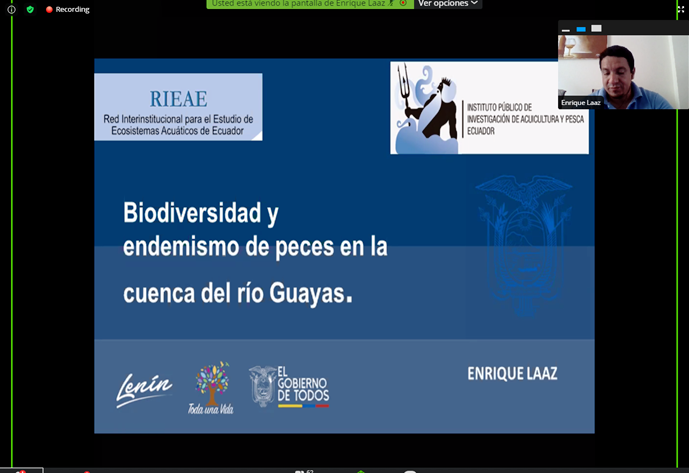 IpiapEcuador's tweet photo. 📍AHORA| MSc. Daniel Laaz del @IpiapEcuador presenta su charla “Biodiversidad y Endemismo de peces en la Cuenca del Río
#Guayas, en el #Webinar “Actividades Productivas e Investigativas Asociadas a Biodiversidad”. @IpiapEcuador #RIEAE. https://t.co/1VZIpCSpsK