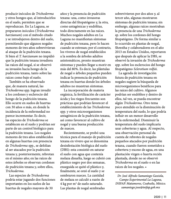 PIPNAC's tweet photo. Les compartimos el artículo "Pudrición texana en #nogal
#pecanero en México" publicado en #NuezSureña de @PecanSouth , por el Dr. José Alfredo Samaniego Gaxiola del @inifap. Disponible en: https://t.co/9VHZ3ITT0j #pecans #pecanas #pacanas https://t.co/2EwHqdntNj