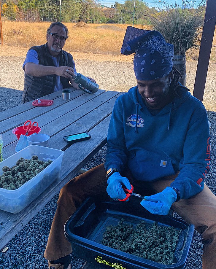 JimBelushi's tweet image. Trimming on my farm.