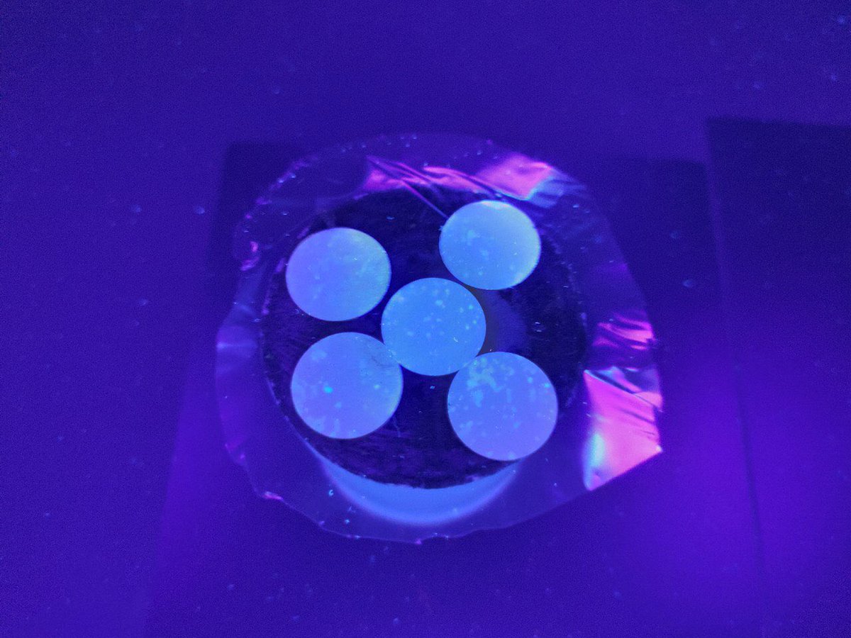 Happiness. It finally works ☺️ #soilzymography