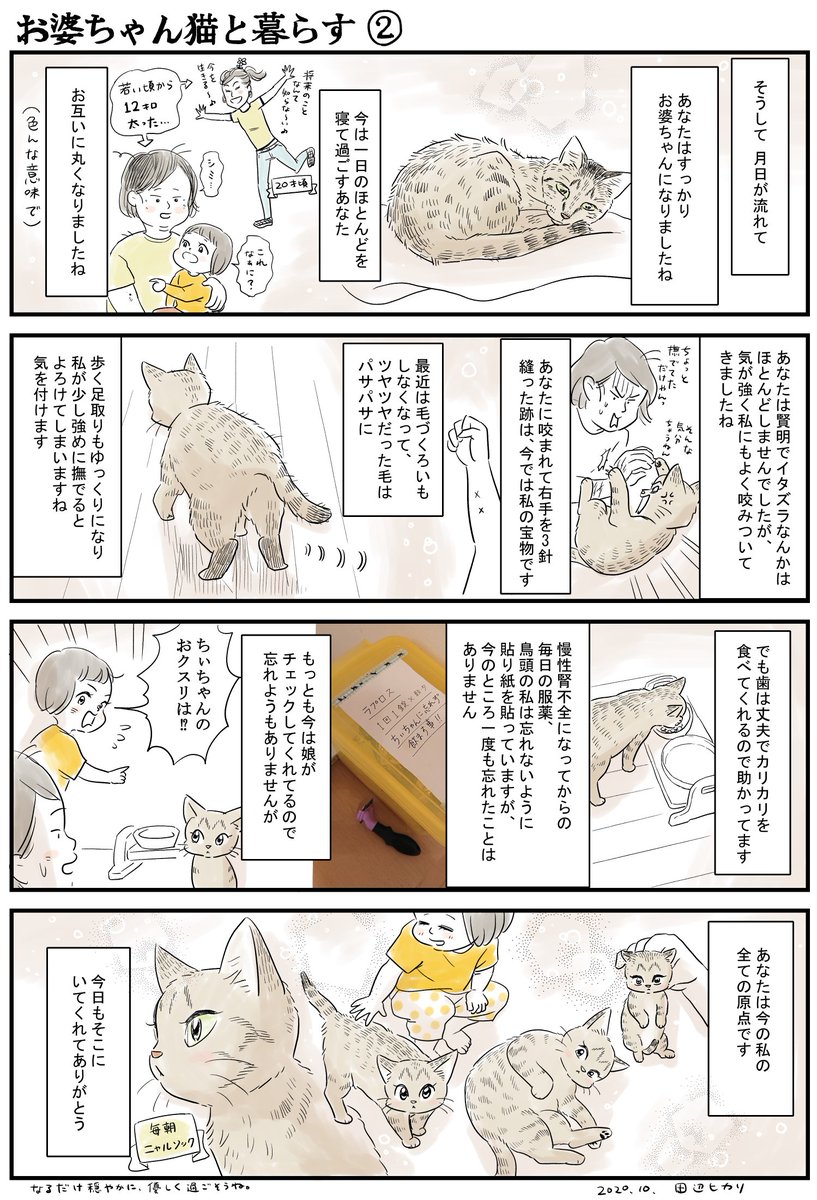 我が家のお婆ちゃん猫への気持ちを漫画にしました。
一緒に暮らして19年。今ある全てが彼女が原点です。感謝を込めて。
#コミックエッセイ #漫画が読めるハッシュタグ #高齢猫 #猫のいる暮らし 