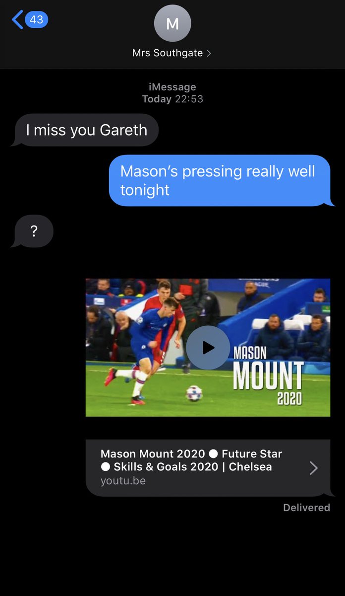 Gareth Southgate’s texts to his wife over the international break leaked: