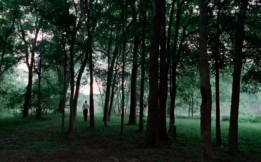 LostInFilm's tweet photo. Tarkovski / Malick https://t.co/8iTC398996