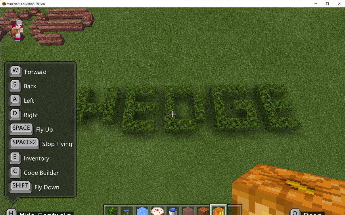 Kids are practising their spelling word in  Minecraft. "buzz" in beehives, (I think), and "hedge" in leaves. #methvenprimaryschoolnz #minecraft