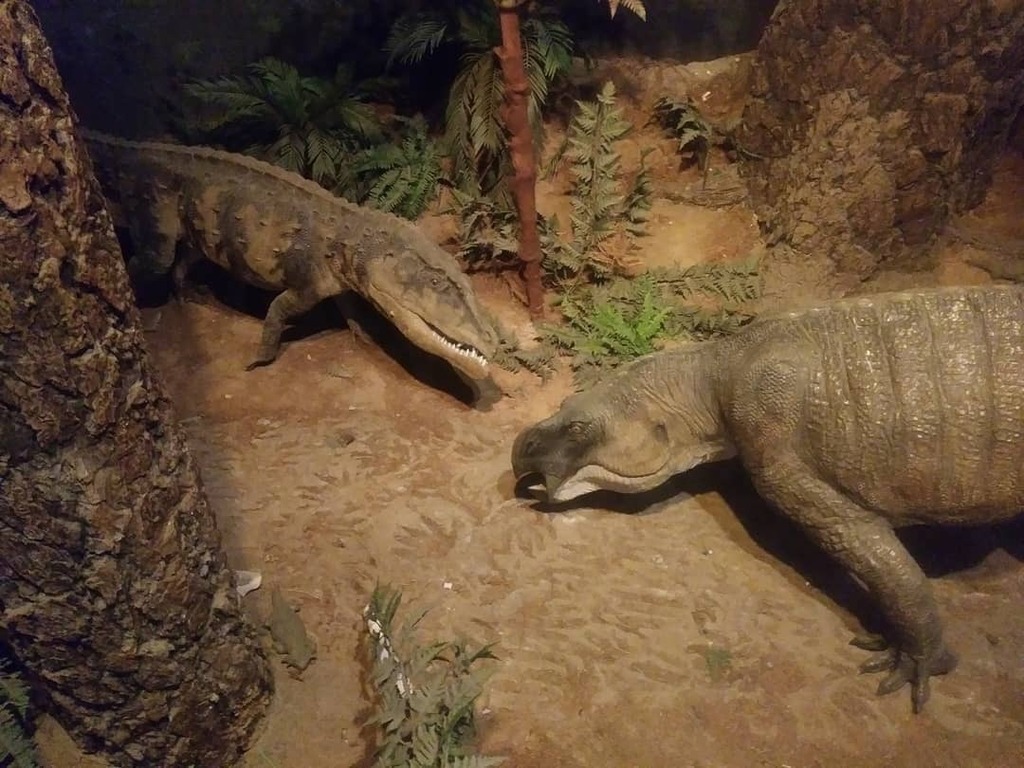 Komodo Dragon Habitat Diorama