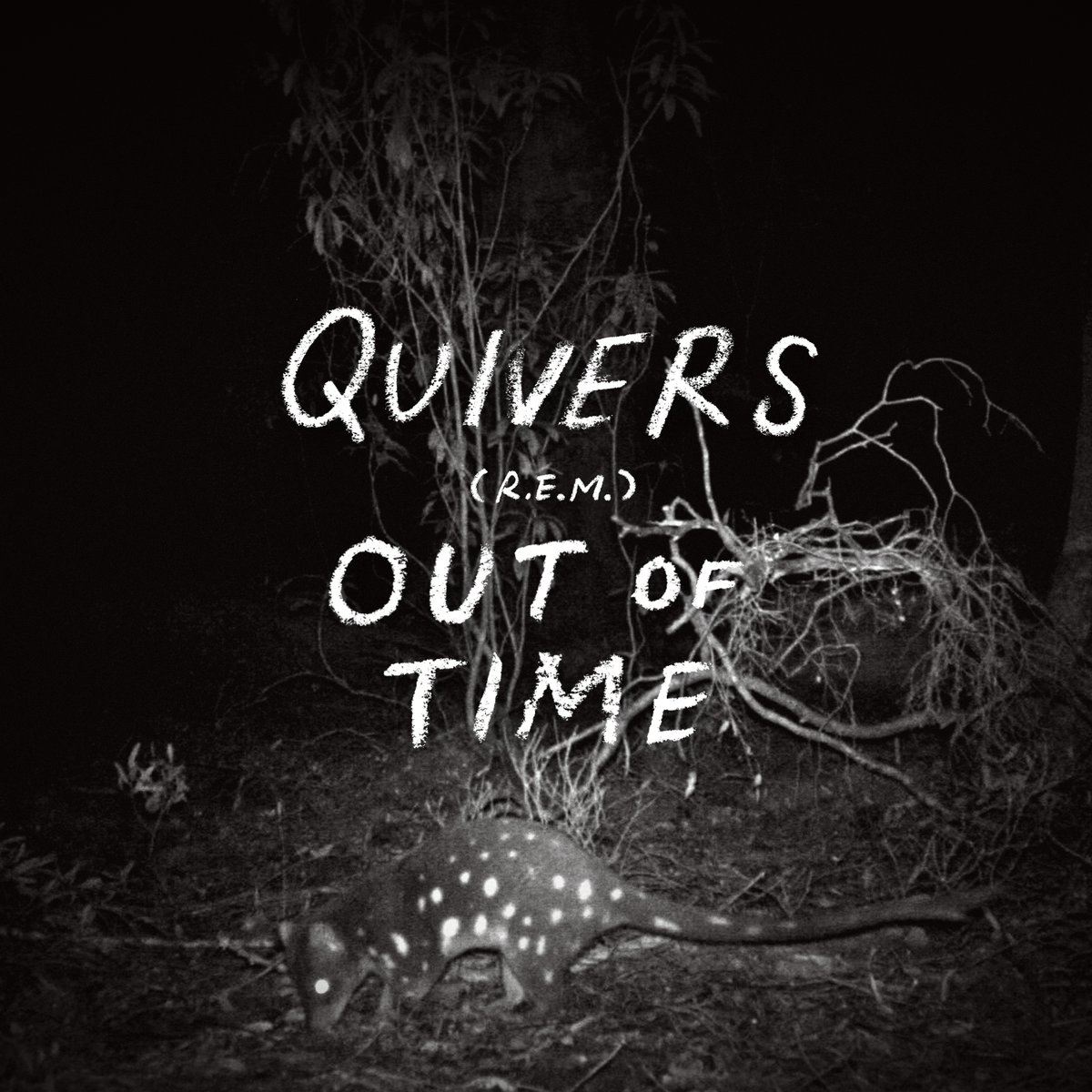 TTableKitchen's tweet image. Very excited to announce the release of the latest LP in our SOUNDS DELICIOUS series featuring @Quiversam tackling @remhq’s Out of Time in its entirety: turntablekitchen.com/product/sd016-…