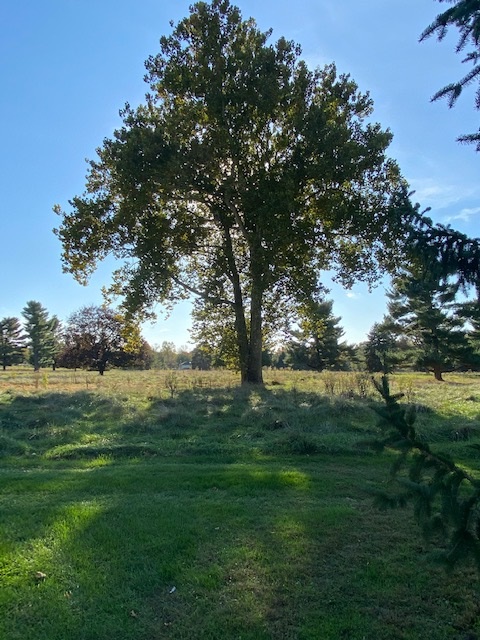 WhitpainTwp's tweet image. The #Whitpain Supervisors officially open the former Mermaid Swim Club to the community to enjoy trails on the 63-acre property. bit.ly/2Futo0d