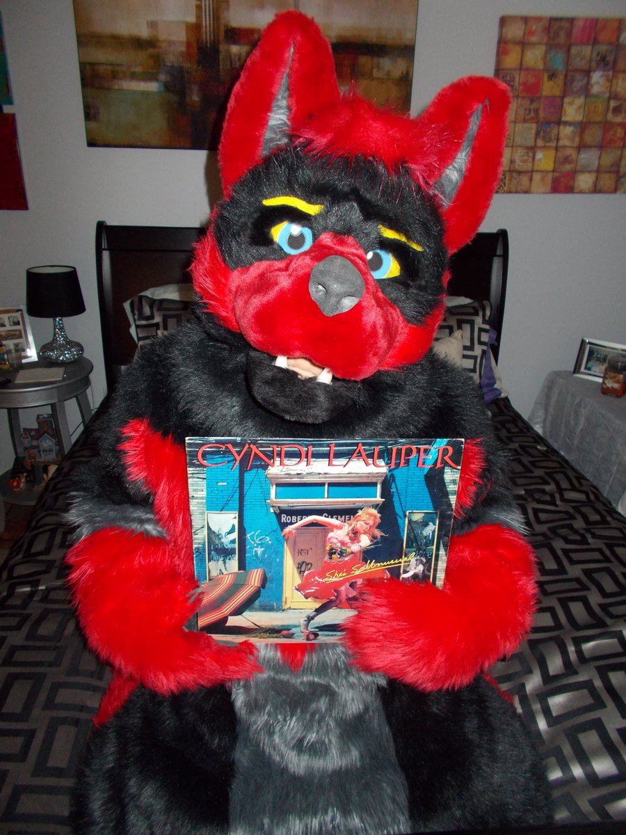 WolvenWuff's tweet photo. 37 years ago Cyndi Lauper released her 1st album "She's so Unusual" 37 freaking years ago..... #80smusic #OldWolf https://t.co/Gt6B0bNsxz