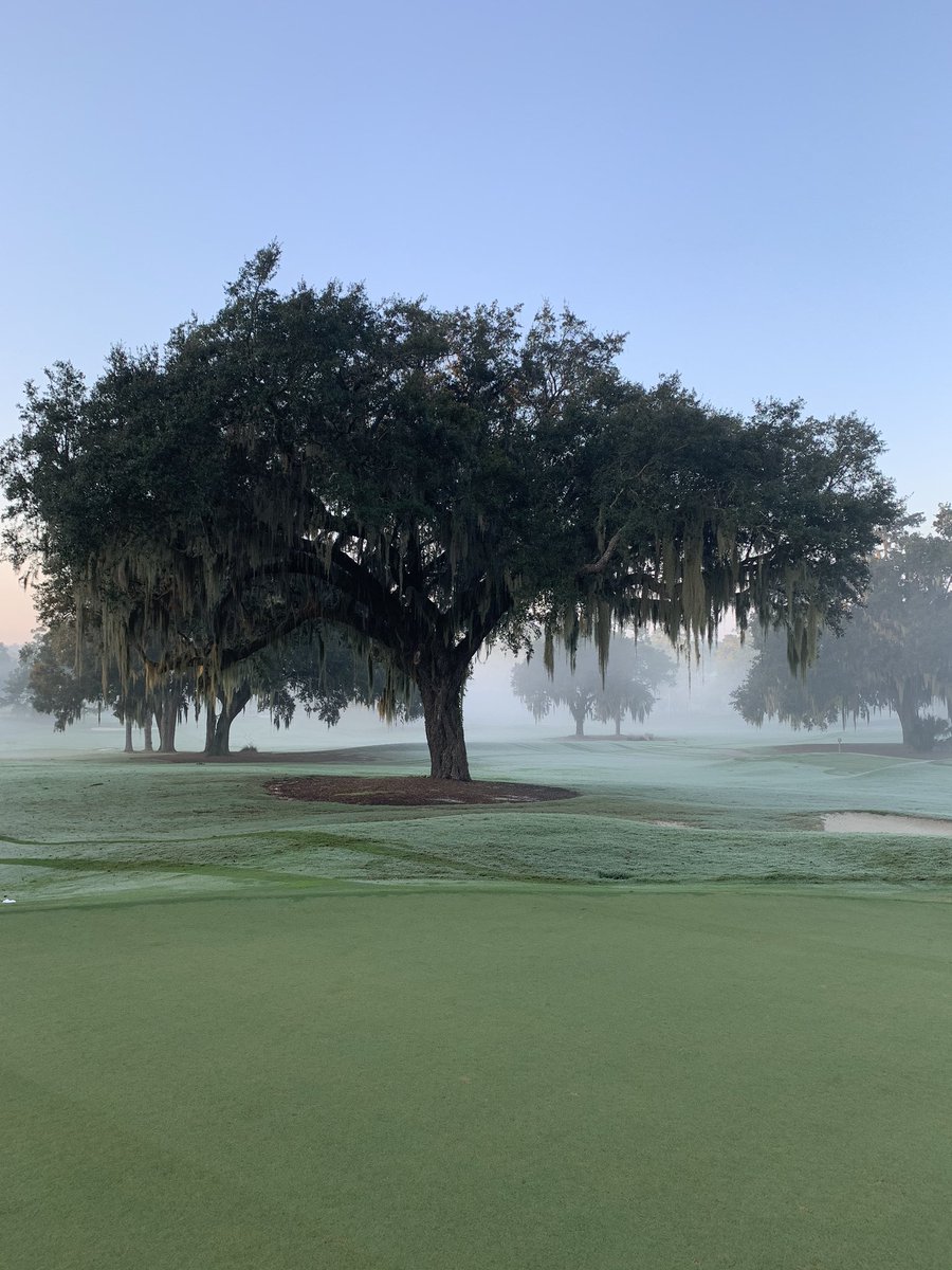 UF Golf Course tweet media