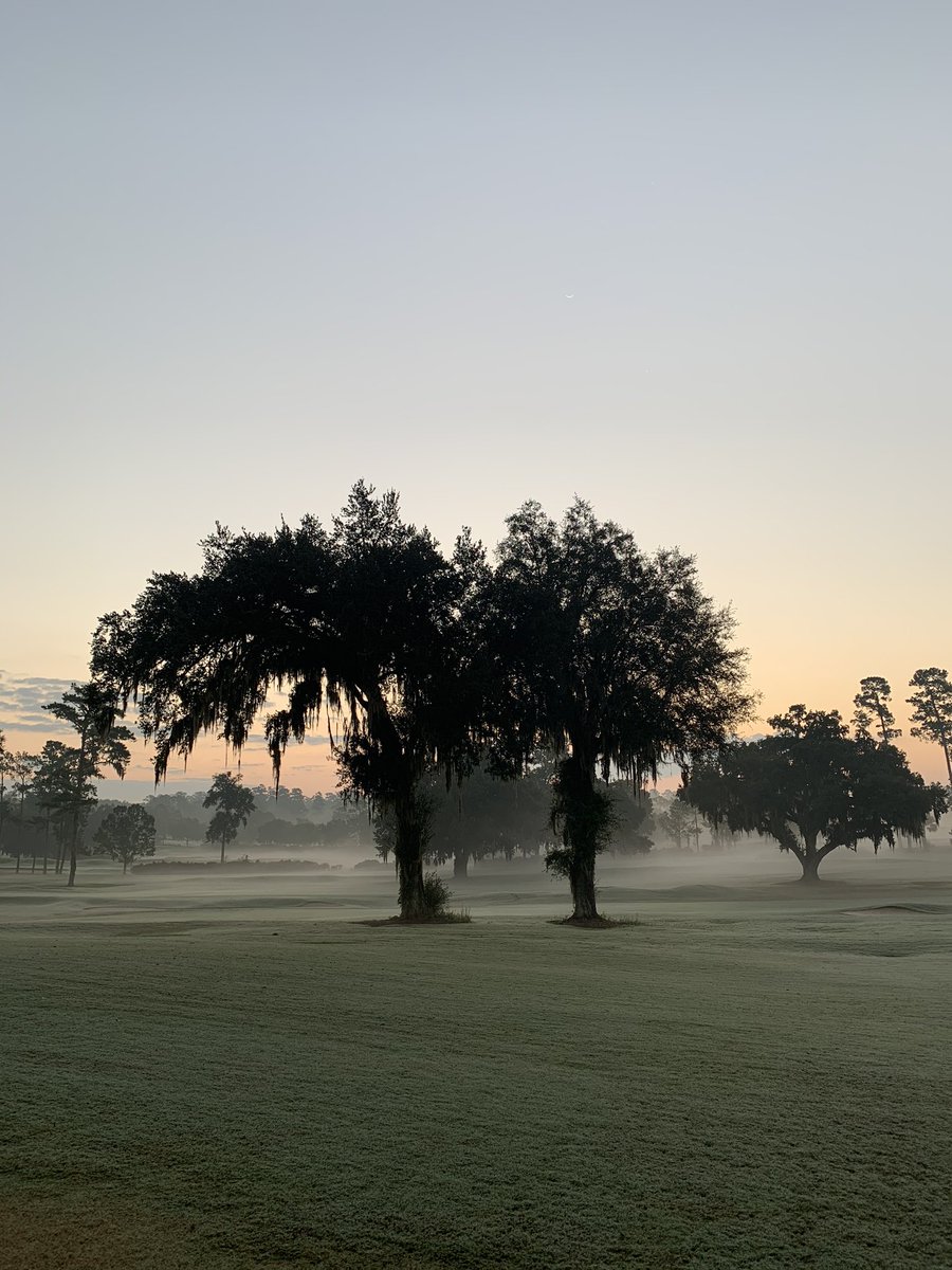 UF Golf Course tweet media