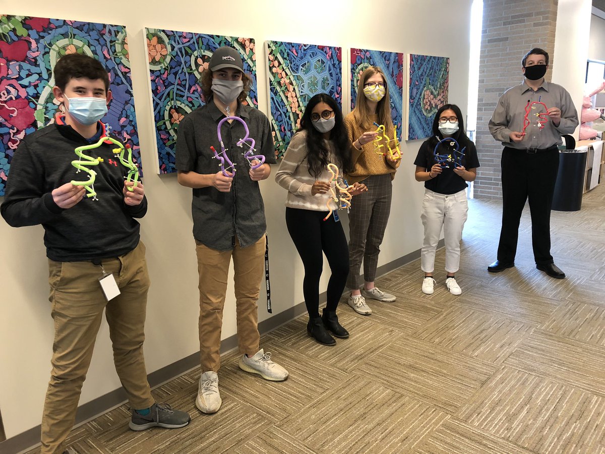 capsbio's tweet photo. Quick group pictures with our mini-toober Zinc Fingers @3DMolDesigns #alphahelix #betasheet #hydrogenbond #secondarystructure #weloveproteins https://t.co/CBTijz4NOt
