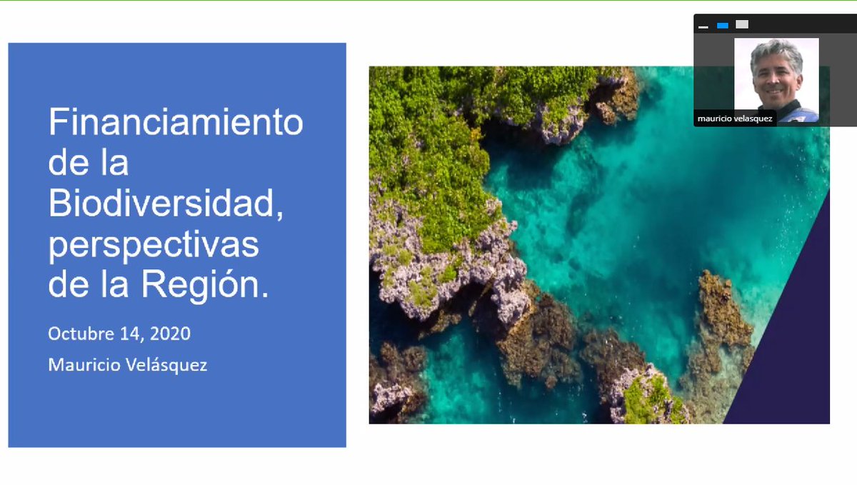 IpiapEcuador's tweet photo. WEBINAR | MSc. Mauricio Velásquez de la #CorporaciónAndinadeFomento (CAF) expone el tema “Fuentes de Financiamiento para estudios de biodiversidad” en el #Webinar “Actividades Productivas e Investigativas Asociadas a Biodiversidad”. @IpiapEcuador #RIEAE. https://t.co/UBPfIWNNWC