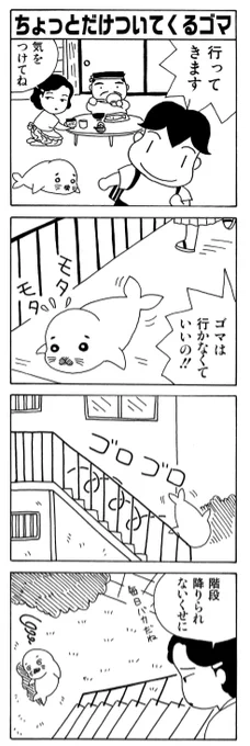 「ちょっとだけついてくる」

学校へ向かうアシベを追いかけるゴマちゃん。
でも階段は上手く降りられないみたい。

#毎朝ゴマちゃん
#コマゴマ 