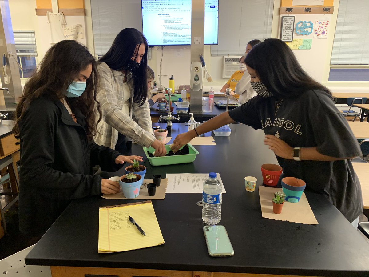 sterling_stuco's tweet photo. Positivity pots have been painted & planted! 🙌🏻🌵Student Council members are delivering one to a person of their choice and one to a member at Parkway Center. We hope these brighten someone’s day! ☀️ #shsstuco #joinstuco #pandemicprojects https://t.co/8LHraqJ16Z