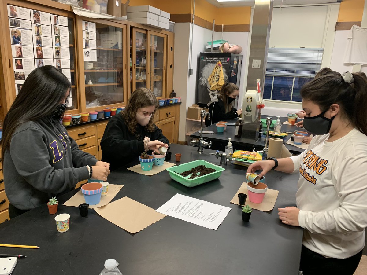 sterling_stuco's tweet photo. Positivity pots have been painted & planted! 🙌🏻🌵Student Council members are delivering one to a person of their choice and one to a member at Parkway Center. We hope these brighten someone’s day! ☀️ #shsstuco #joinstuco #pandemicprojects https://t.co/8LHraqJ16Z