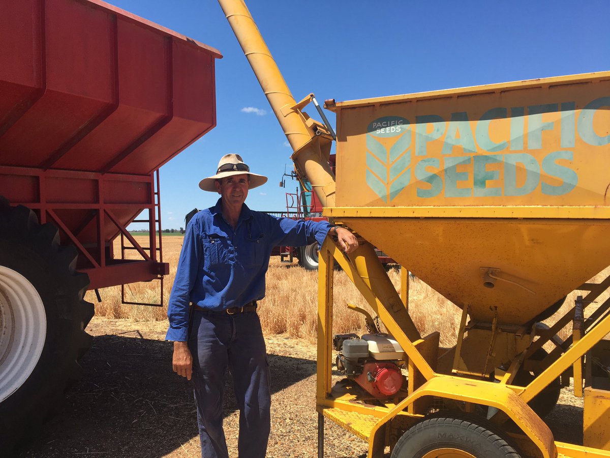 The Dalgliesh Family won the Chinchilla A&amp;P Association Field Wheat Competition 2020, yielding 4.43t / Ha of Reliant wheat. 54mm of in-crop rain. Thanks to the sponsors - Nutrien Ag Solutions Chinchilla. <a href="/PacificSeeds/">Pacific Seeds</a> <a href="/TEC_Aus/">Thomas Elder Consulting</a>