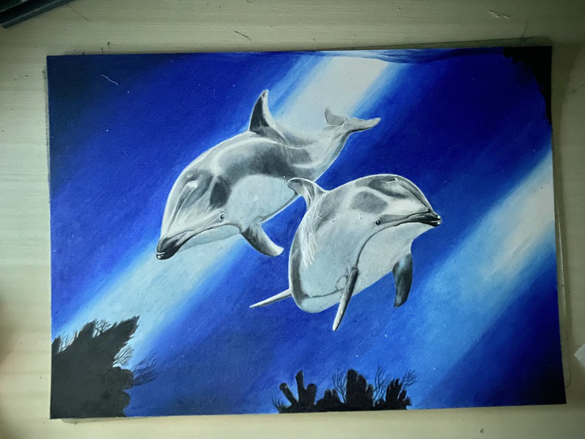 Twoucan いるか の注目ツイート イラスト マンガ