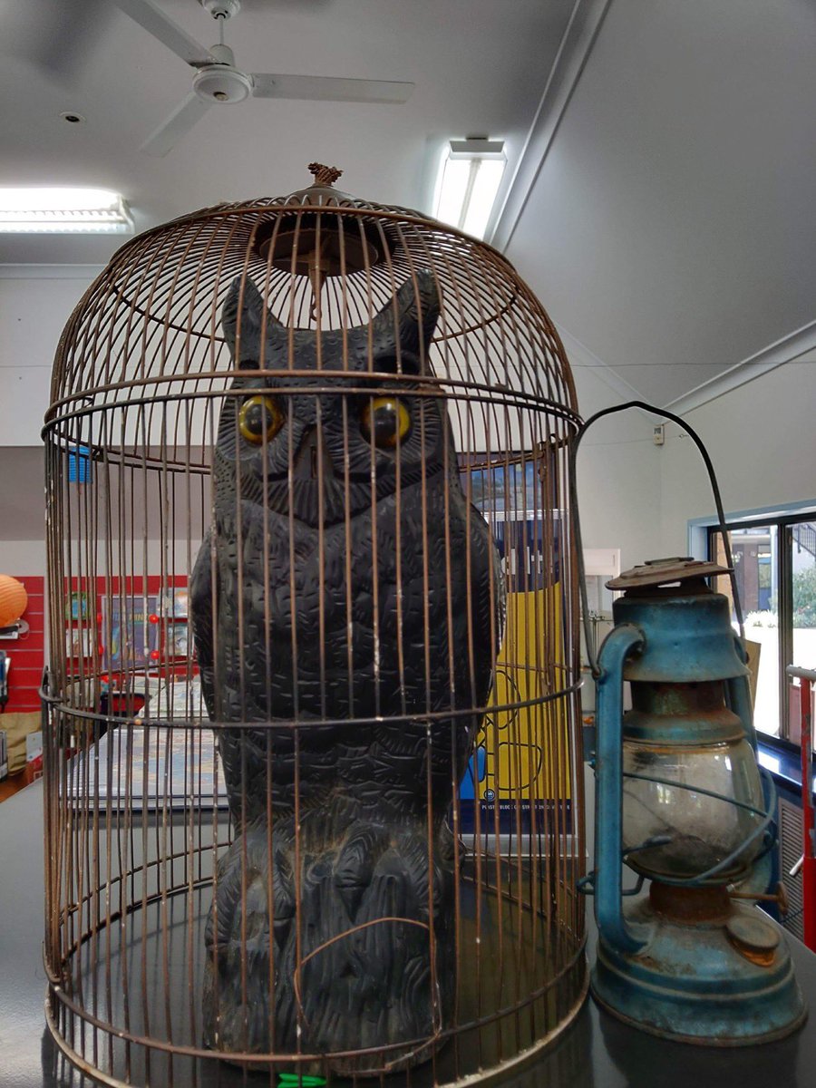 WestMACLib's tweet photo. More #BookWeek2020 displays @TheCBCA https://t.co/ExRqHWW8sZ