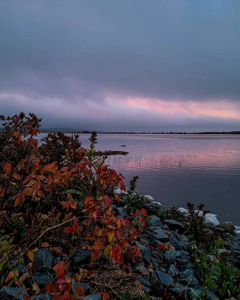 halifaxnoise's tweet photo. from @the_spotchasers — Evenings are always beautiful in Autumn🍂!!
#halifax #halifaxns #halifaxnovascotia #halifaxnoise #halifaxblogger #halifaxlocal #halifaxphotographer #photooftheday #photo #photographer #photography #photoshoot #photographers #p… https://t.co/fzylVxLnwr https://t.co/TP6bLyK8An