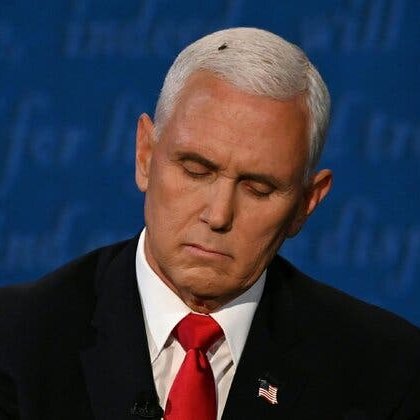 unclejoshi3's tweet image. who else thinks @SteveCarell would be amazing as mike pence?