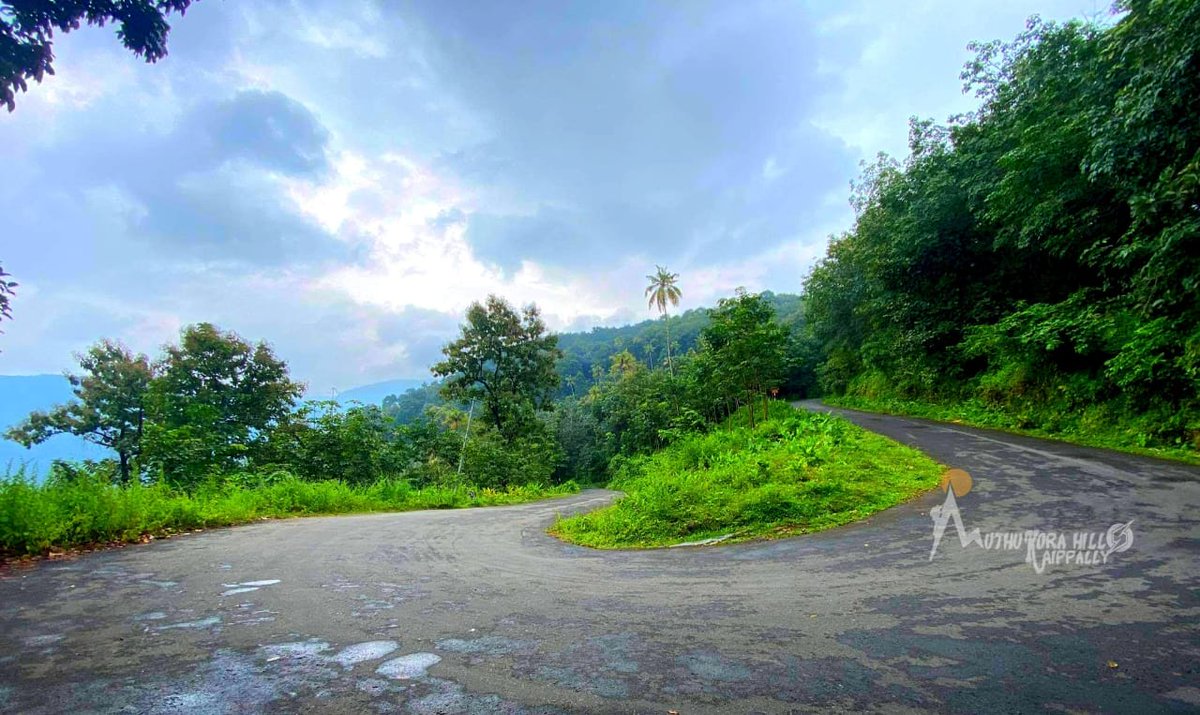 muthukora's tweet photo. #muthukora_hills
മുതുകോരമല മാത്രമല്ല മുതുകോരമലയിലേക്ക് ഉള്ള യാത്രയും നിങ്ങൾക്ക് നല്ലൊരു അനുഭവവം തന്നെയായിരിക്കും
""ഒരു വഴിക്കാഴ്ച്ച""
@Kshore_Tourism @TourismMarketer 
Root-- pala,erattupetta,poonjar,kaippally, muthukora_hills https://t.co/Pf79ABaekU