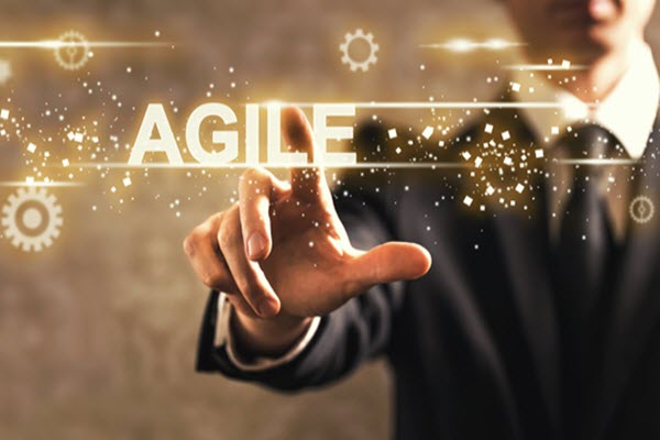 "Bureaucracy is the death of all sound work" ~ Albert Einstein

Cultivate an Agile Mindset, not a Bureaucratic one.