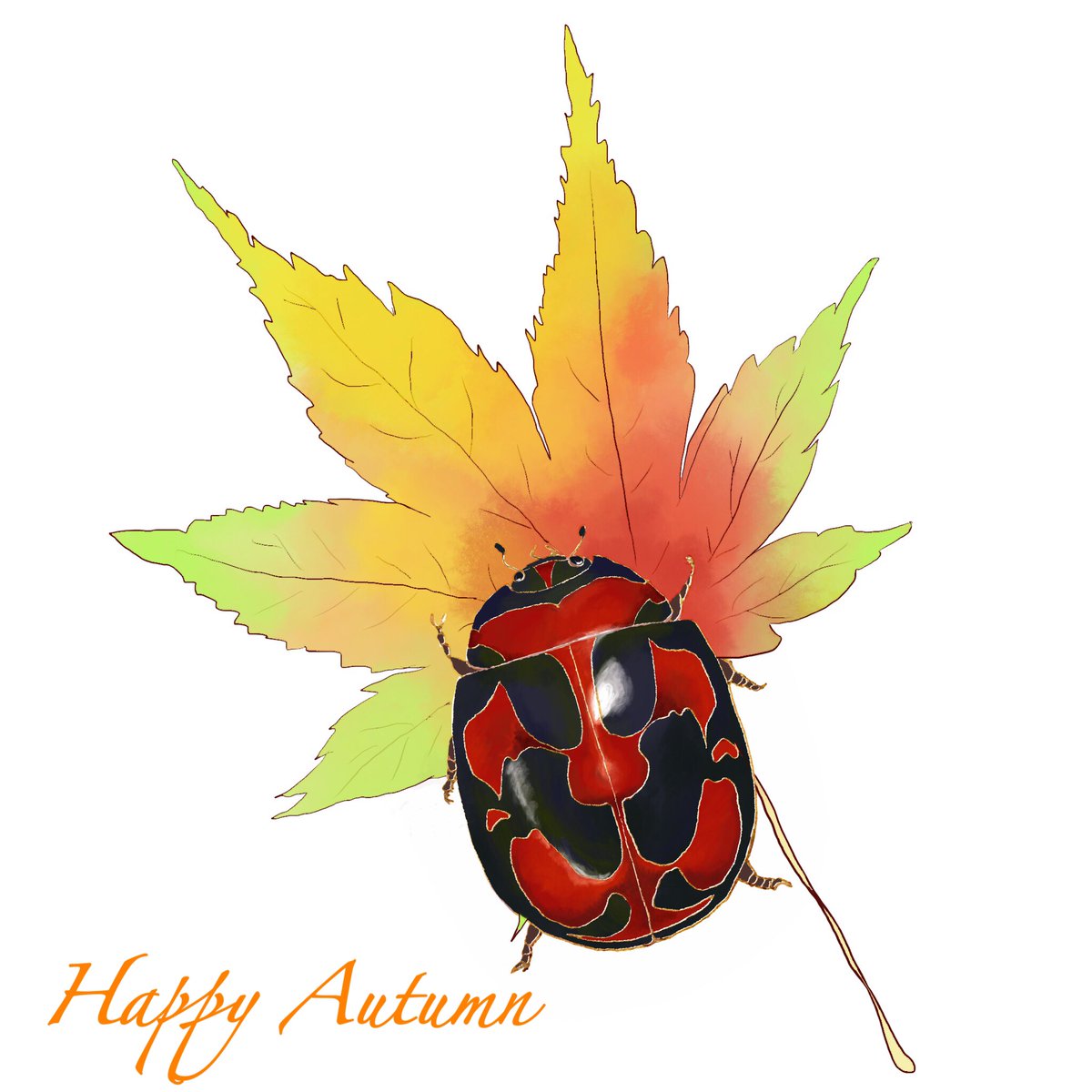 1010mushi Ladybug 1010mushi ট ইট র