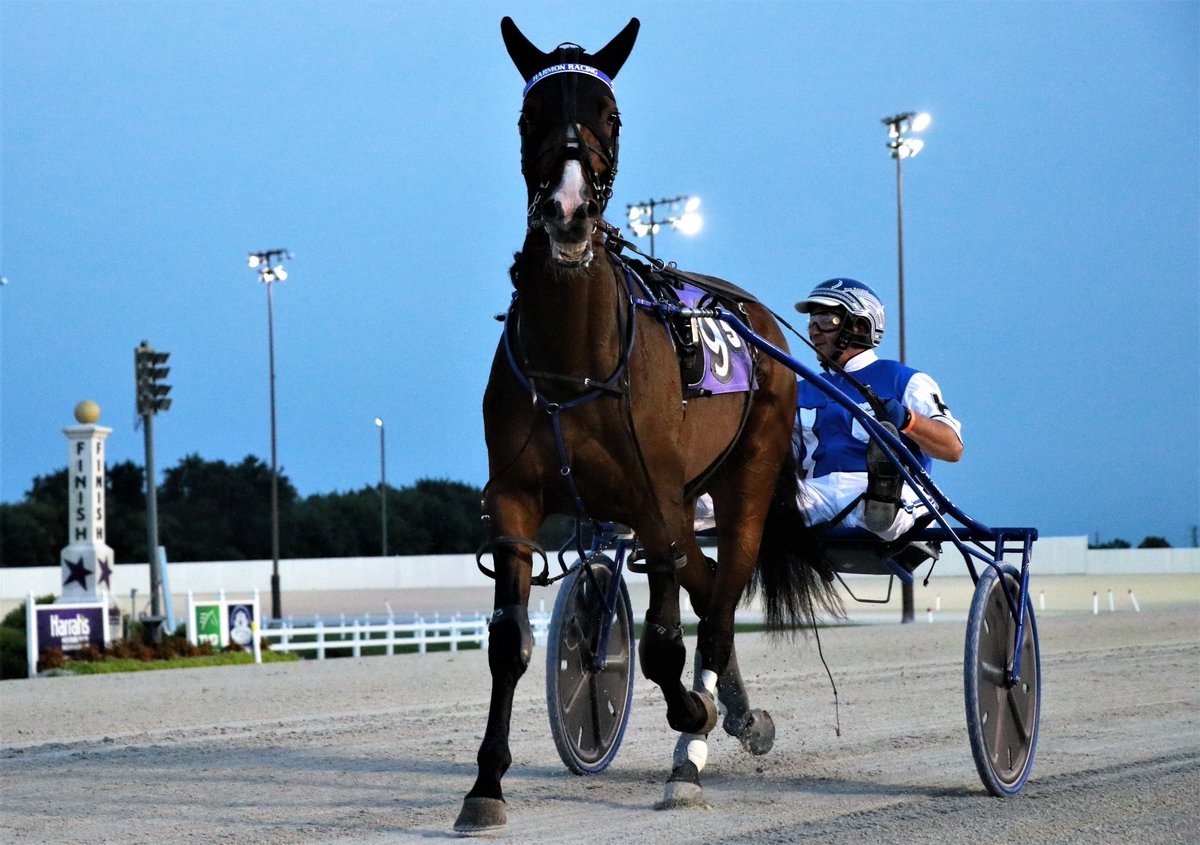 hoosiernations's tweet photo. Good Mornin @DonHarmonStable @Chris_wponies @rebelsart @jtlburn @KimberlyMosier1 @KathleenBaitzel @joe_norte @BradA53472906 @KerriLT17 @JoanSpe77536971 @dolenski_john @ginarocksu @vnssa926 @blongphee67 @musicalhossgal @INStandardbred @HoP_Racing  #CrookedLilGrin #DonHarmon https://t.co/trDd825owd