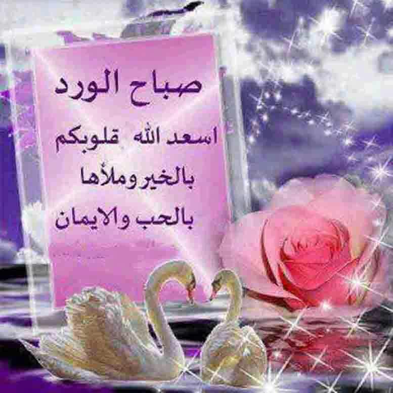 <a href="/om02ahmad/">وردة الياسمين</a> <a href="/ab_hnaya/">عبدالله الحنايا</a>