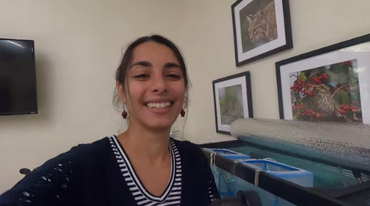 TroutUnlimited's tweet image. TU's #TroutInTheClassroom tank at the #Trailside Museum in Cross River, N.Y., has news residents. Yup... the trout eggs are here! bit.ly/36Z6hWU #TIC #TICNYC @WestchesterPark