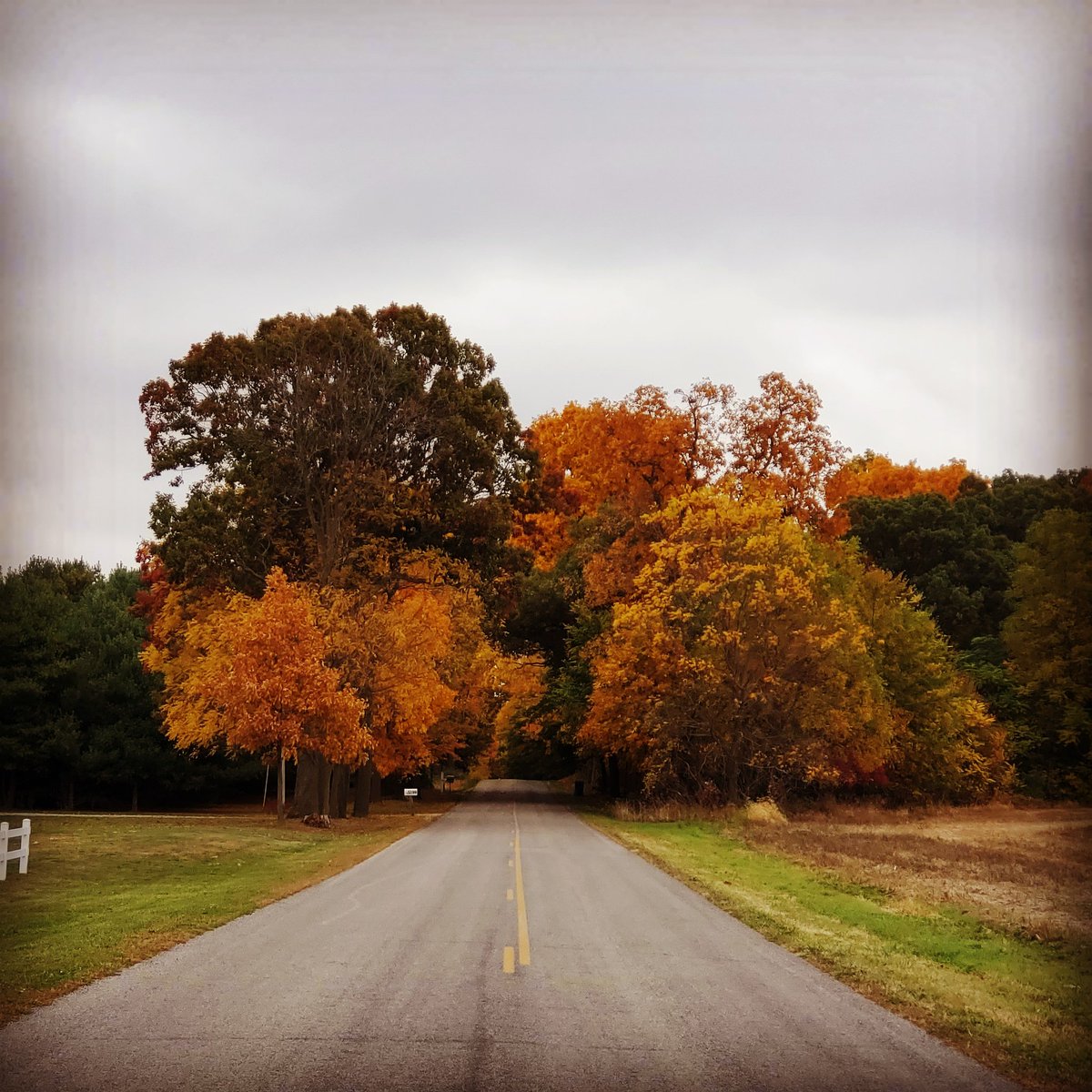 Michigan doesn't joke about fall #puremichigan <a href="/3_325thAirborne/">Dan Thomas</a> <a href="/ABCWorldNews/">World News Tonight</a> <a href="/DavidMuir/">David Muir</a> <a href="/PureMichigan/">Pure Michigan</a> <a href="/Ginger_Zee/">Ginger Zee</a>
