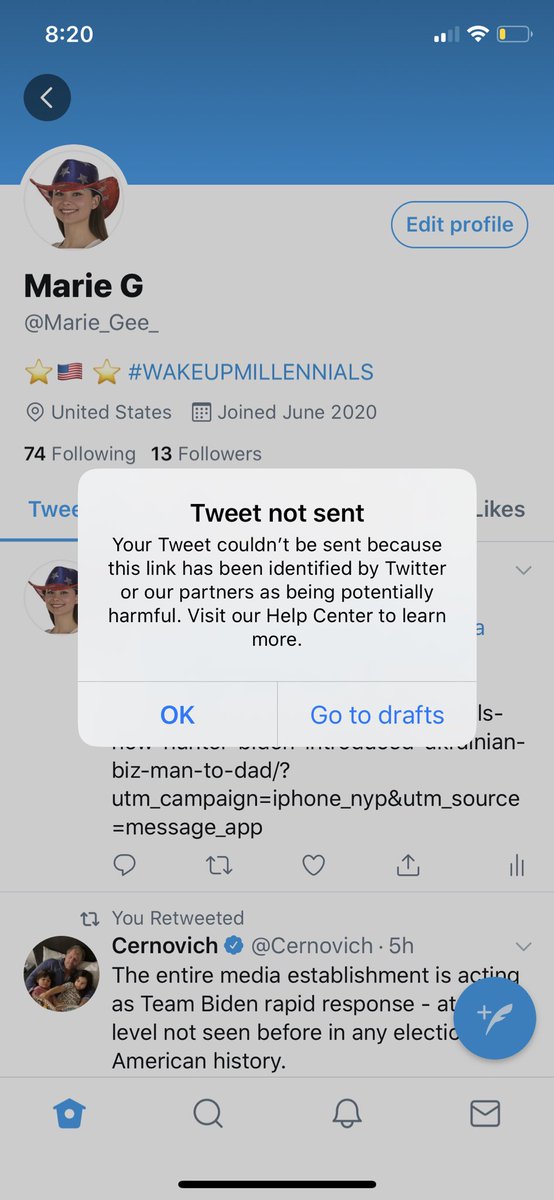 Marie_Gee_'s tweet image. If I wanted to experience censorship I’d just move to Russia #TwitterCensorship #BigTechCoup #wakeupmillennials #WakeUpAmerica