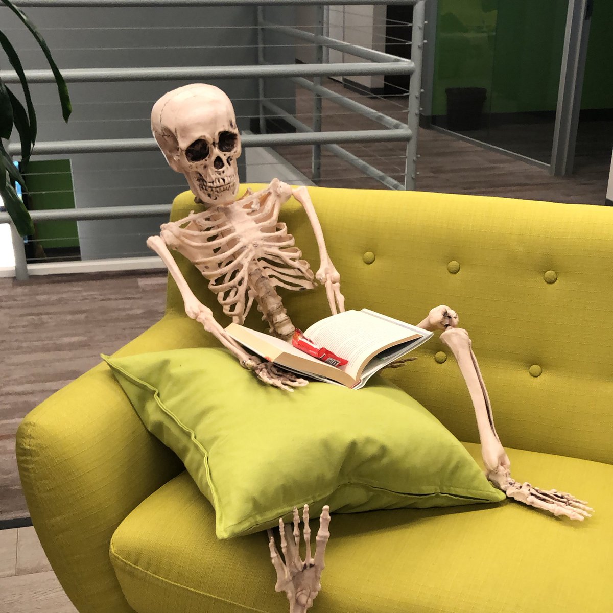 wrike_team's tweet photo. It's been approximately 84 years since we've been in our SJ office - I wonder how long that's been there???#spookyseason https://t.co/ImOR92UKZ9
