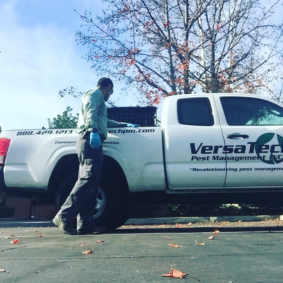 VersaTechPM's tweet image. Versa-Tech offers fast &amp;amp; effective #pestcontrol services for your home or business. We will customize a program for your needs based on a free detailed on-site inspection &amp;amp; we&apos;re committed to providing superior service. Book your service call at (888) 429-1213. #LAPestControl