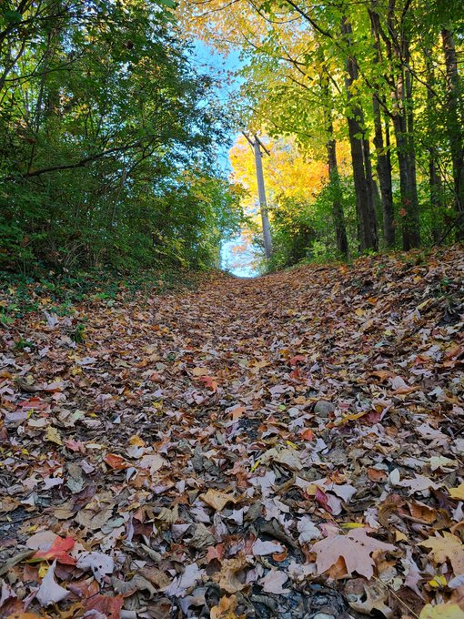 🍂 Autumn 🍂 https://t.co/KyEmJsb7gc<a href="/tag/latex"class="tags"><span>#latex</span></a>