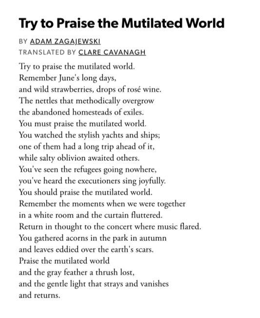 MayaCPopa's tweet photo. "Praise the mutilated world / and the gray feather a thrush lost, / and the gentle light that strays and vanishes / and returns."

I dearly needed this poem by Adam Zagajewski. https://t.co/retVAWBcWZ