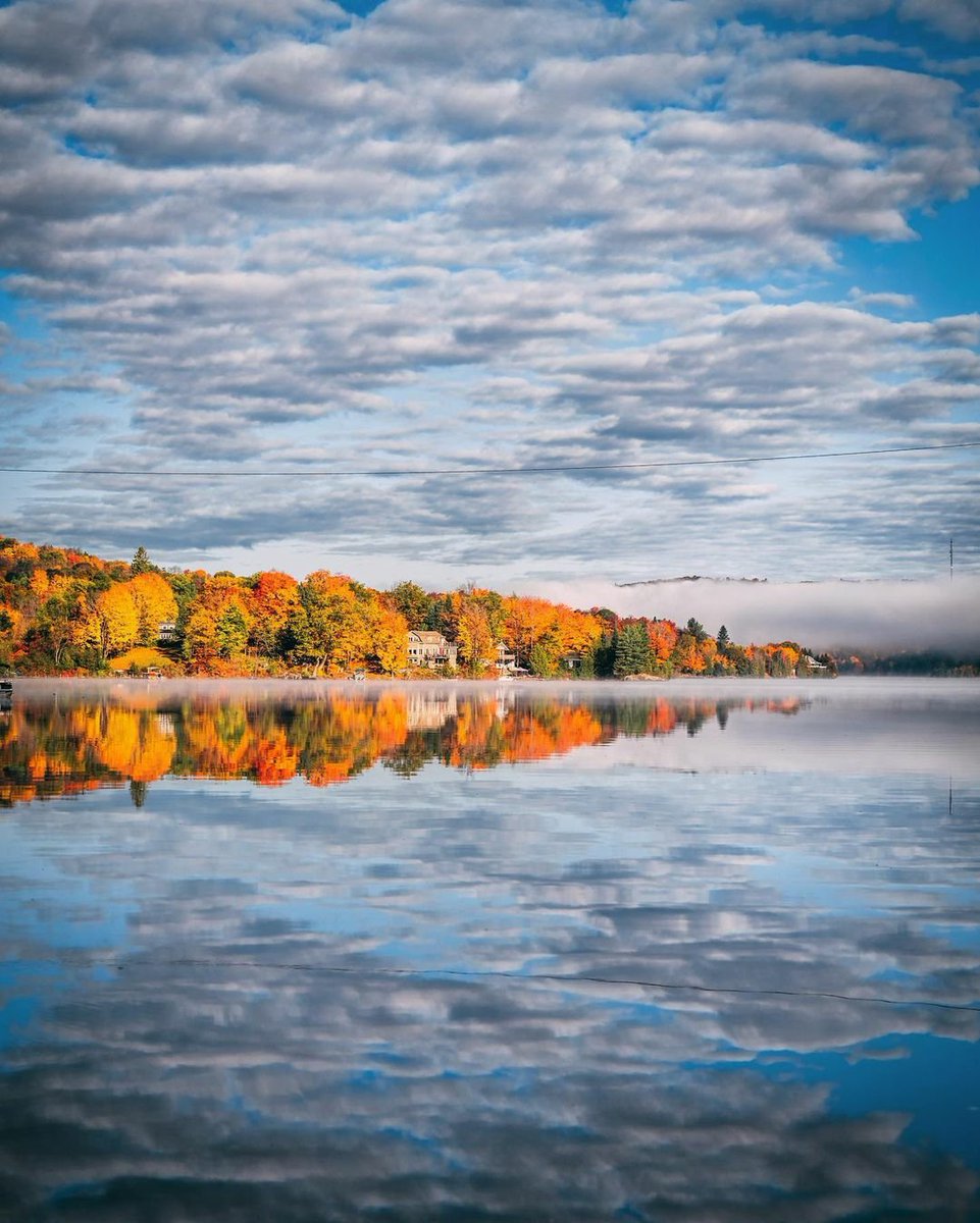 ProLabCanada's tweet photo. Beautiful #fallleaves AND a great #reflection?? Now there's a shot worth printing! Learn about the #ProLabCanada difference and see all of our high-quality print options: https://t.co/XXuKNrALMo📷: nicholasplacephoto/IG #reflectionphotography #fallphotography #ottawa #gatineau https://t.co/zW5NSDGtDk