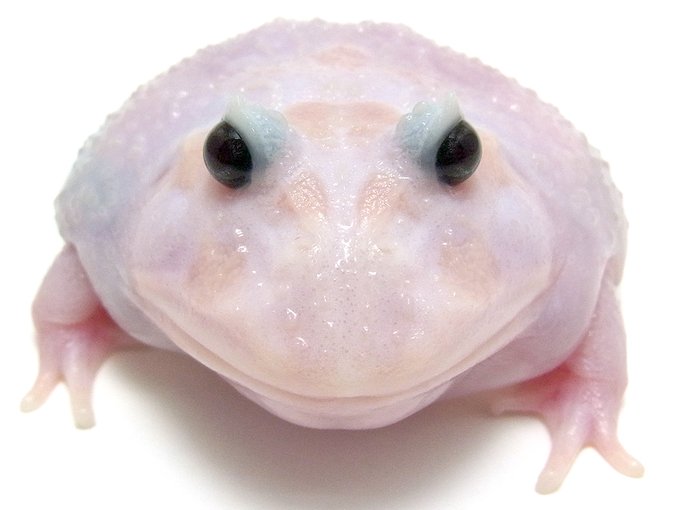 A List Of Tweets Between Nuance ニュアンス And Year 10 Month 1 Whotwi Graphical Twitter Analysis