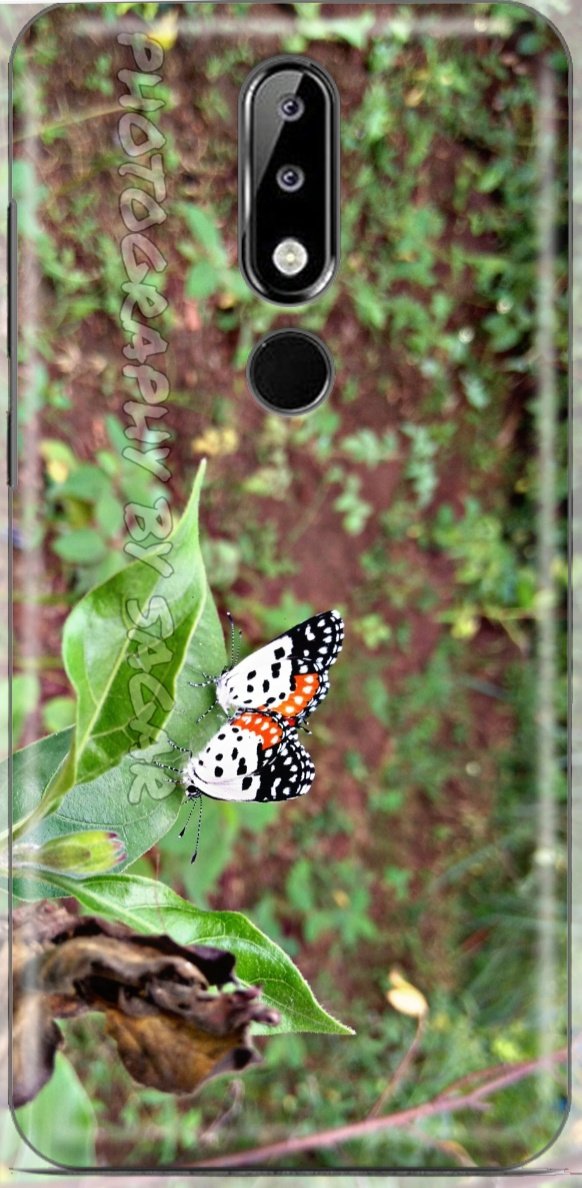 Sagar99238168's tweet photo. Good morning
#goodmorning
#backcover
#Nokia6dot1plus
#itookphoto https://t.co/dSYF3Hp61l