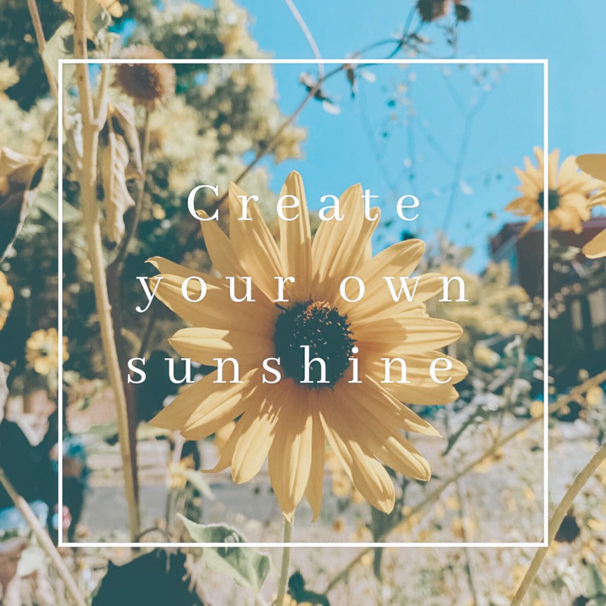 #onlyinaz #ig_arizona #conquerarizona #azfamily #visitarizona #see_arizona #abc15 #beon12 #hikearizona #hikeaz #hikingadventures #capturearizona #conquerarizona #arizonalife #naturalarizona #idhikethat #arizonalife #travelarizona #hiking #camelbackmountain #phoenix #scottsdale