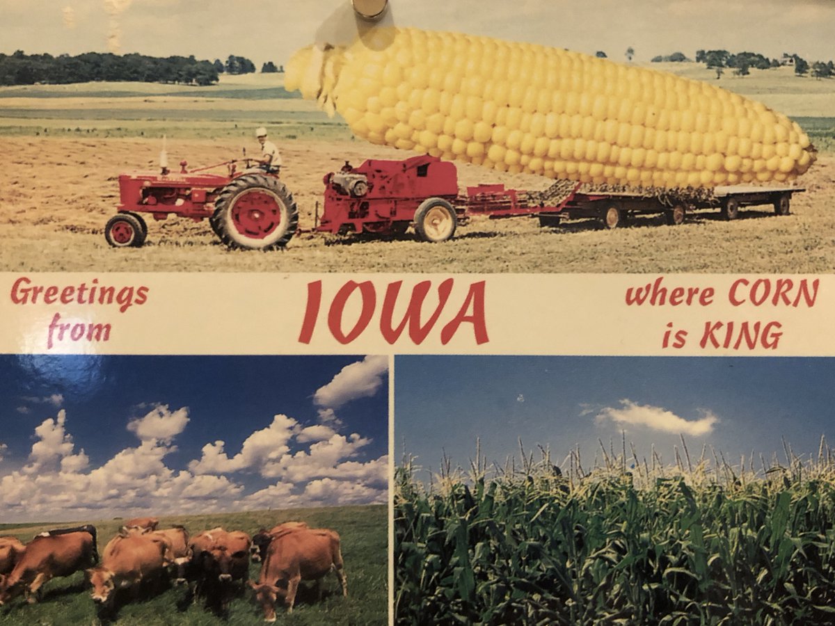 Let's talk about Iowa for a few minutes cause we're calling there this Sat at 2pm CT during the  #FatedStates2020 FUNbank (It's a phonebank and it's FUN )I got this ridiculous postcard on vacation in Iowa in 2004 but that's not what I want to talk about (I do love corn, tho)