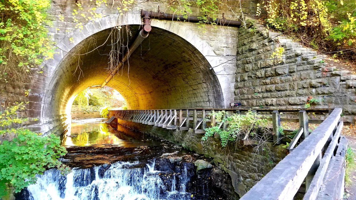 SusanPerry1111's tweet image. I found the picture that goes with the saying, "There is Light at the End of the Tunnel", in today's late afternoon sun.