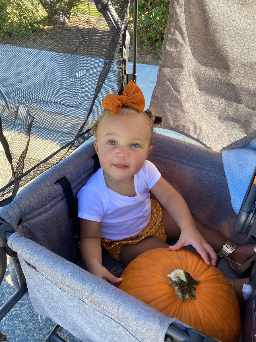 MaliqueWade's tweet photo. Pumpkin patch cutie 🎃🍂 https://t.co/Ctbcc5vOI4