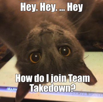 MissInfoShow's tweet photo. Proof that cats are the worst... #definitelyreal #teamzander https://t.co/wUSZUVCOXm