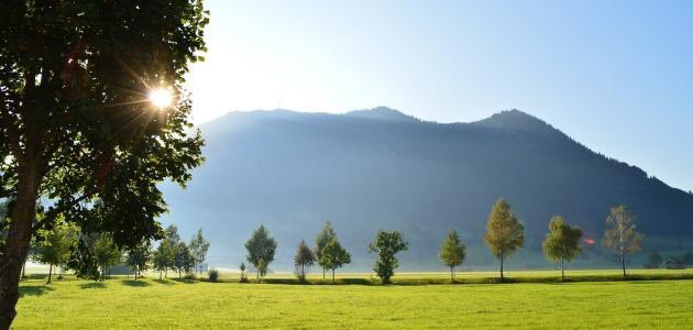 o7oo8's tweet image. اللهم صباح مُبشّر بكل شيءٍ جميل🕊