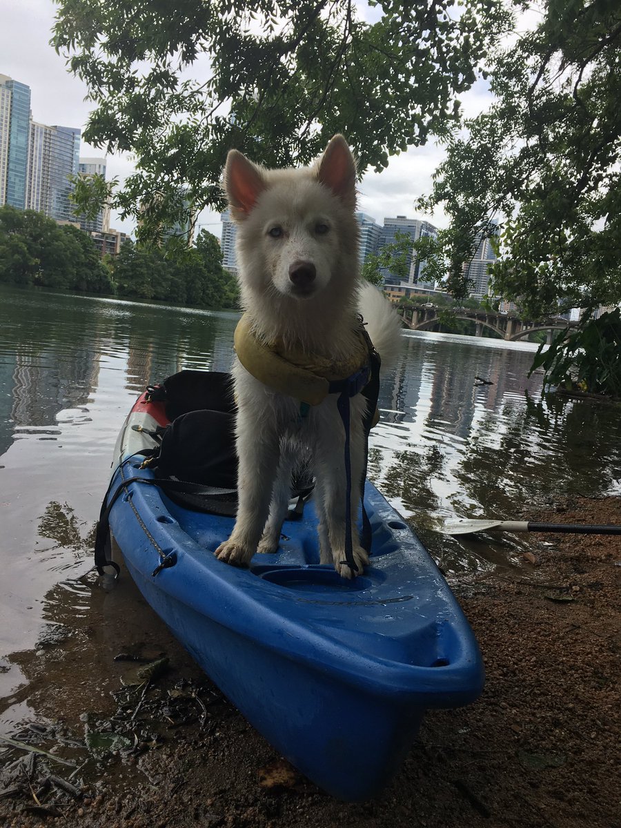 Earlier this summer we HAD to take her kayaking, and she HAD to dominate the kayak and howl about it