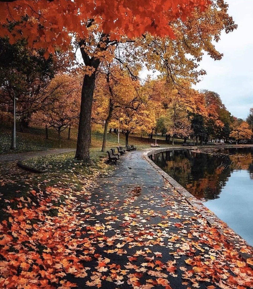 Günaydın dostlarım;
Yerin, göğün, mülkün ve her türlü iyiliğin sahibi yüce Allah sizleri, rahmeti bol, gönlünden geçen duaları kabul olan kullarından eylesin, yürüdüğünüz yollar güzel insanlara çıksın inşallah..
Hayırlı sabahlar..

#Günaydın Perşembe