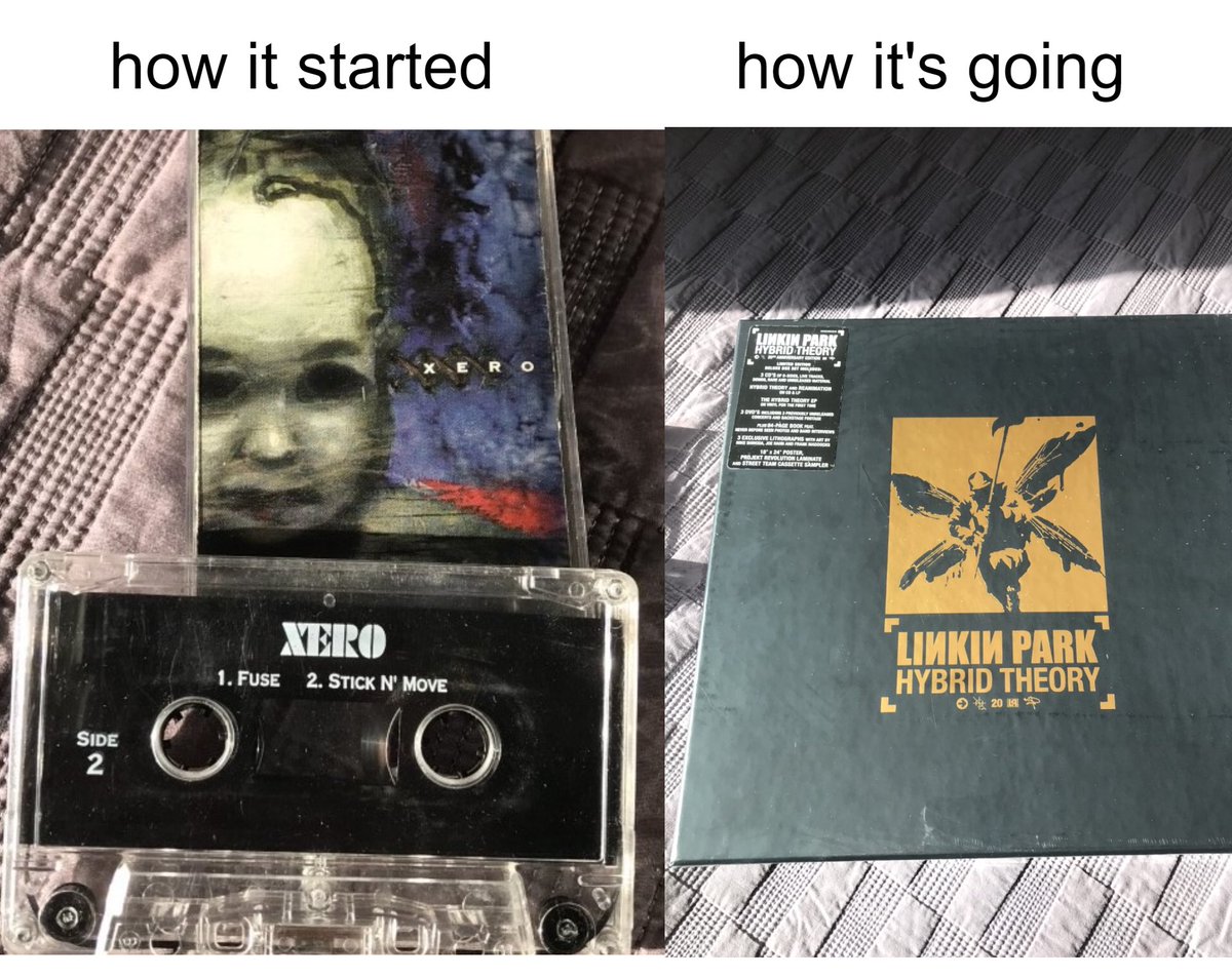 Brennan Percy tweet media