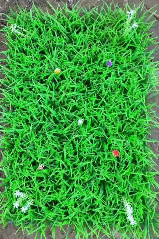 GreenlineaInd's tweet photo. Economic Artificial Verticial Hedge Panels

Greenlinea Industry Co.,Ltd 
sales@greenlineaindustry.com
8615588989019 https://t.co/ouLH9VXWcQ
